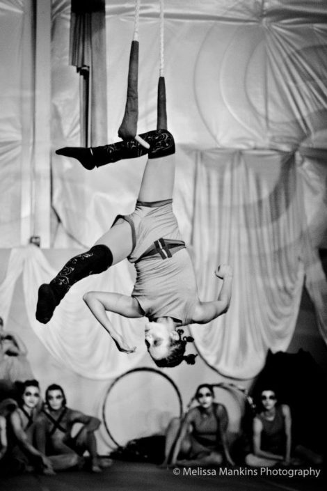 Bricolage Cirkus Trapeze Viroqua Wisconsin